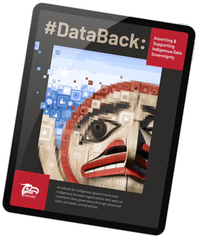 Databack eBook