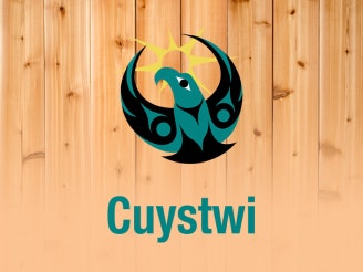 Cuystwi software project