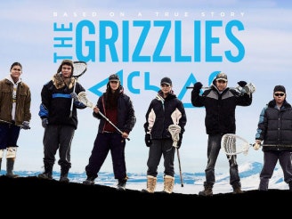 The Grizzlies website project